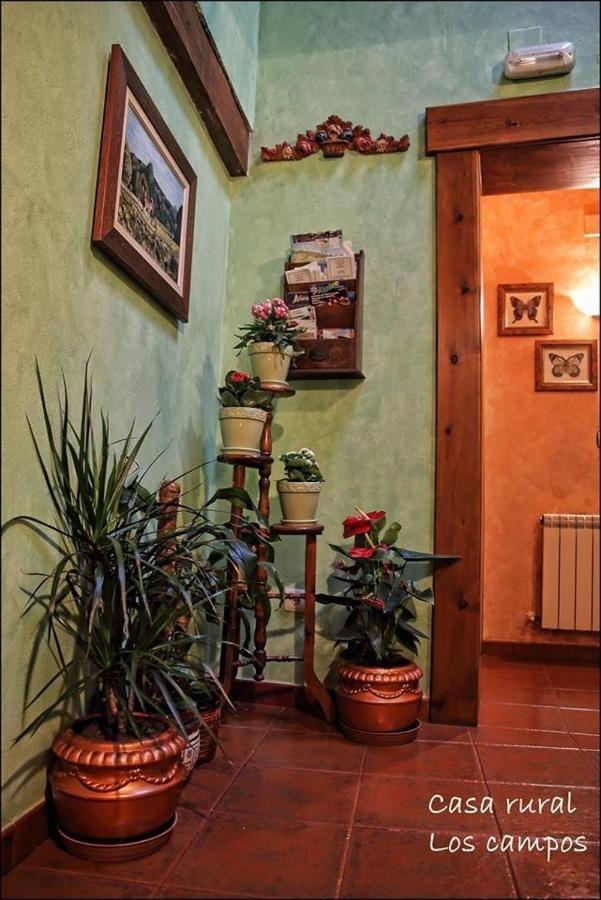 Casa Rural Los Campos Corao ภายนอก รูปภาพ