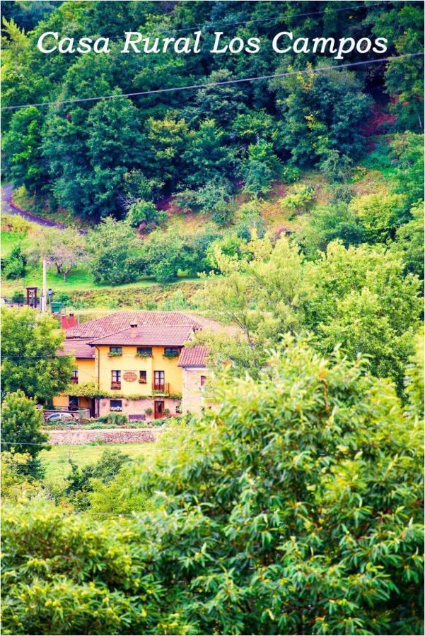 Casa Rural Los Campos Corao ภายนอก รูปภาพ