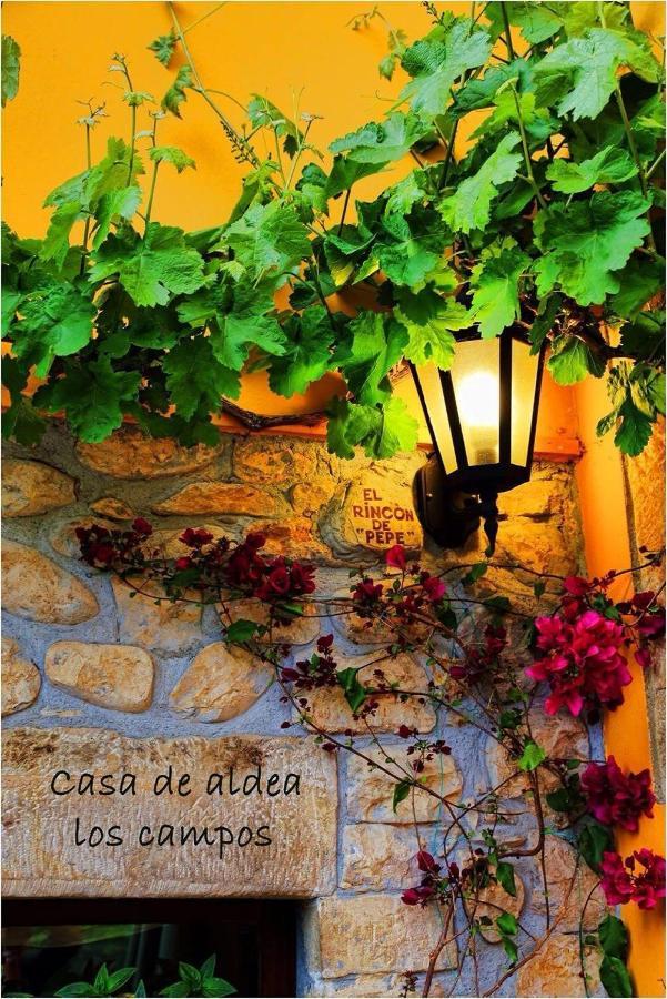 Casa Rural Los Campos Corao ภายนอก รูปภาพ