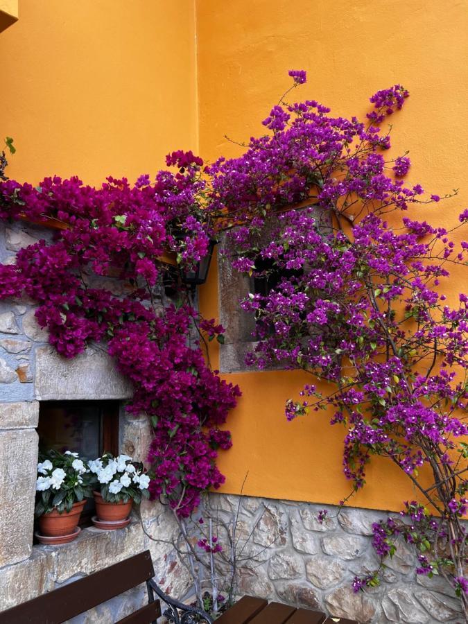 Casa Rural Los Campos Corao ภายนอก รูปภาพ
